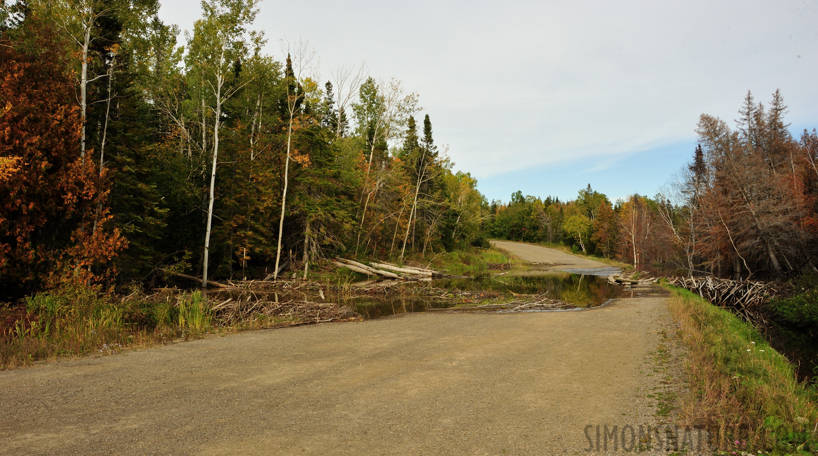 Beavers at work [28 mm, 1/100 sec at f / 16, ISO 400]